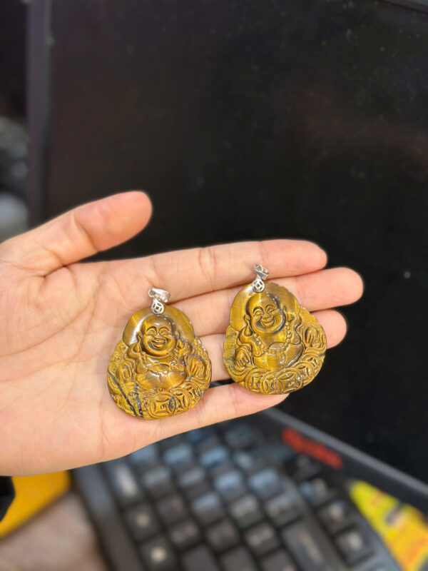 Mặt di lặc mắt hổ - Hình ảnh 5