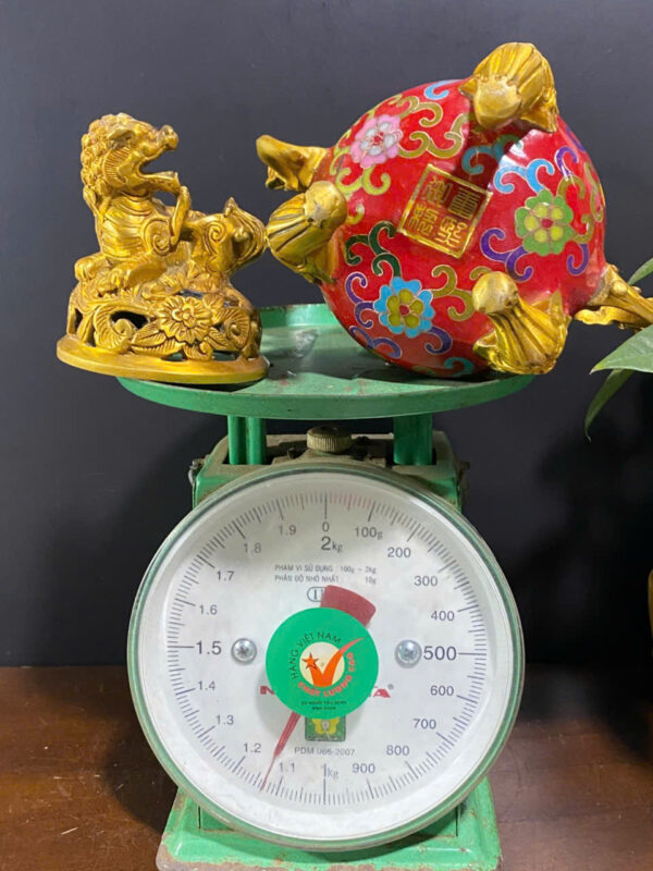 LƯ TRẦM PHÁP LAM - Hình ảnh 8