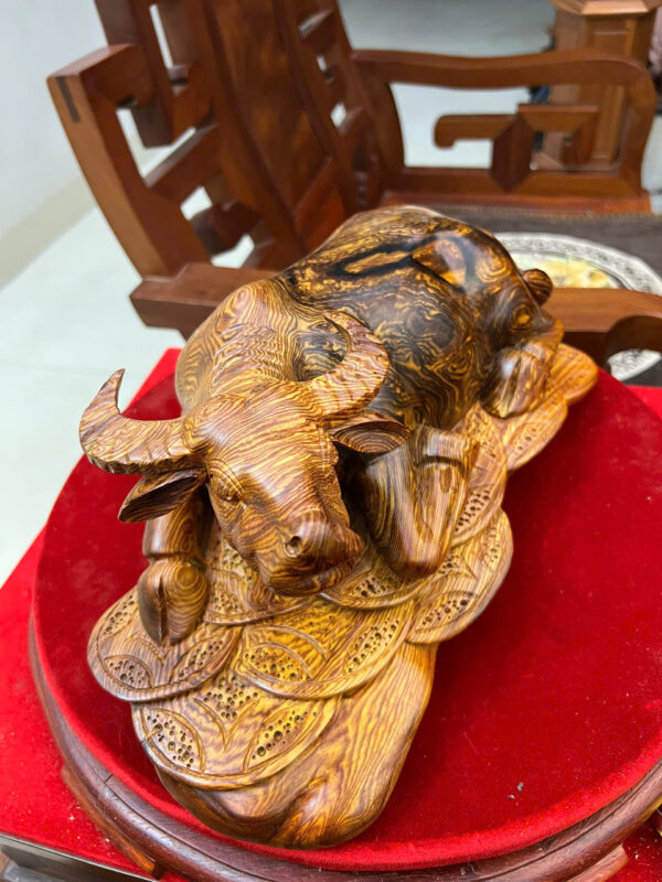 Trâu nằm gỗ cẩm việt - Hình ảnh 2