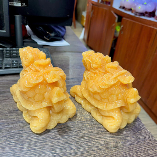 Long Quý Ngọc Hoàng Long - Hình ảnh 5