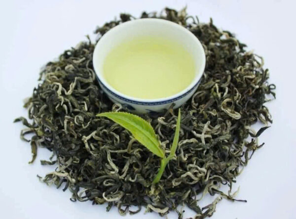 LỤC TRÀ SHAN TUYẾT