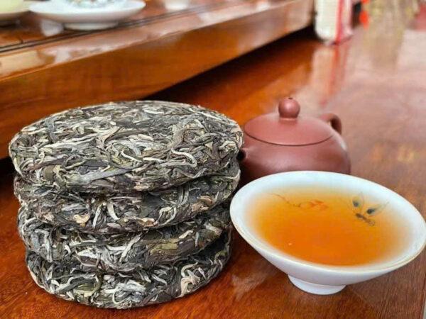 PHỔ NHĨ SỐNG