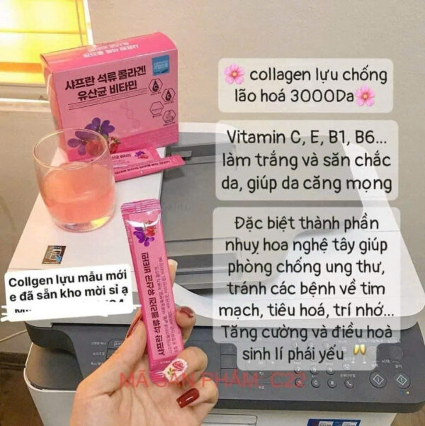 COLLAGEN Lựu Bio.Cell - Hình ảnh 2