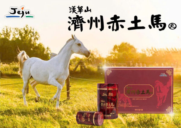 Cao Ngựa Đảo Jeju Hàn Quốc - Hình ảnh 6