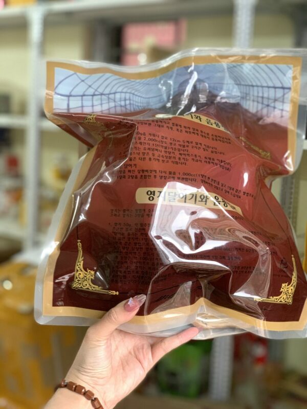 Nấm Linh Chi Đỏ - Hình ảnh 5