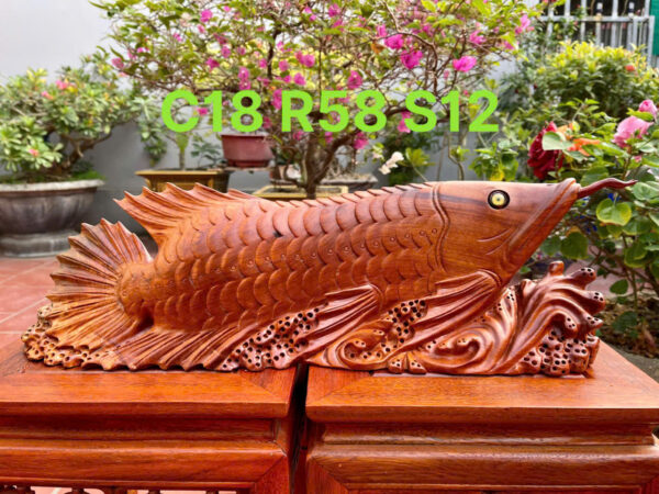 Cá Kim Long Gỗ hương ta - Hình ảnh 6