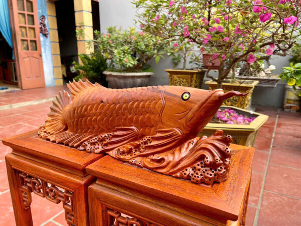 Cá Kim Long Gỗ hương ta - Hình ảnh 2