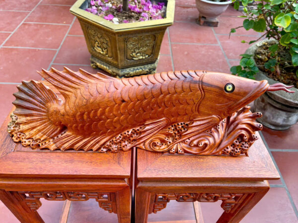 Cá Kim Long Gỗ hương ta