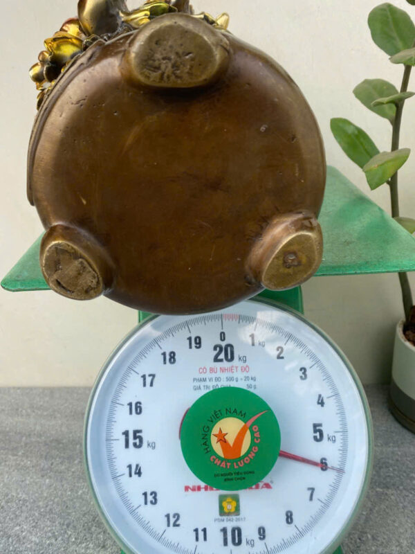 CHUM  HOA MAI PHÚ QUÝ - Hình ảnh 6