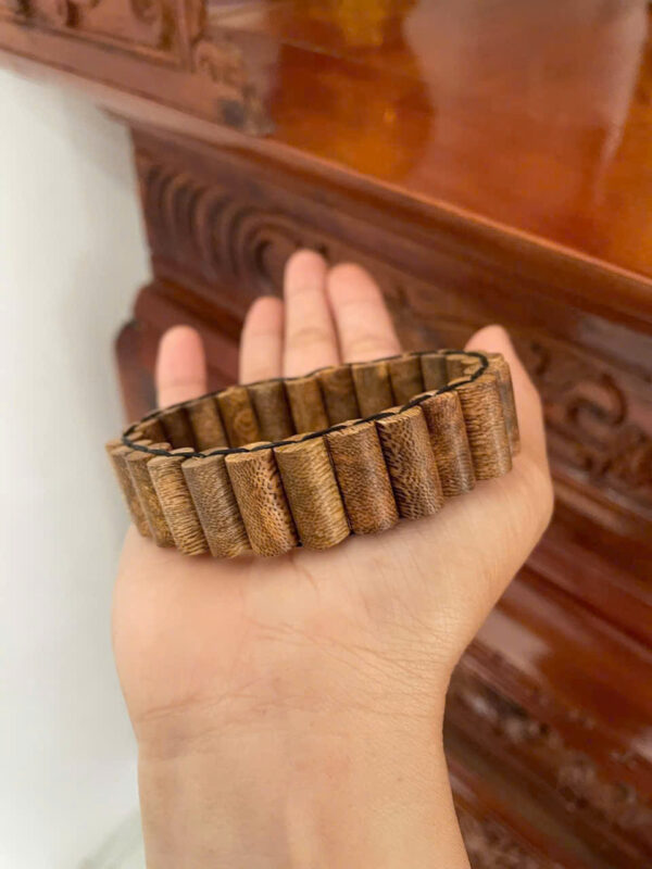 Lách trúc hàng kiến - Hình ảnh 2
