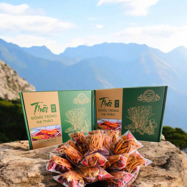 TRÀ TỨ VỊ ĐÔNG TRÙNG HẠ THẢO - Hình ảnh 3