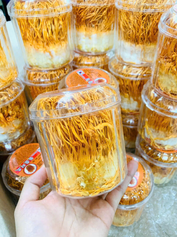 ĐÔNG TRÙNG HẠ THẢO DẠNG SỢI - Hình ảnh 4