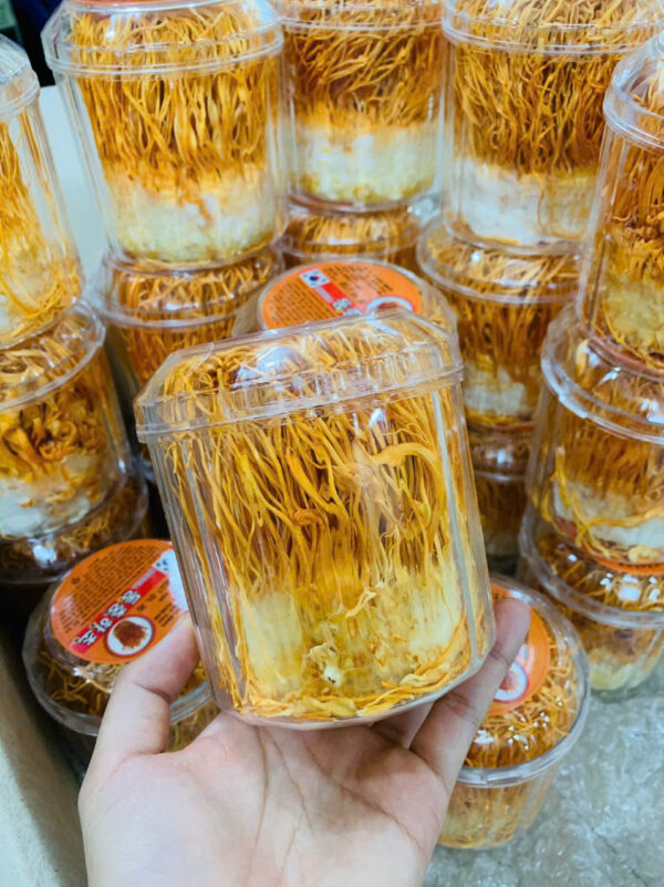 ĐÔNG TRÙNG HẠ THẢO DẠNG SỢI - Hình ảnh 6