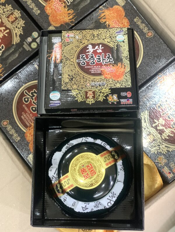CAO HẮC SÂM ĐÔNG TRÙNG HẠ THẢO