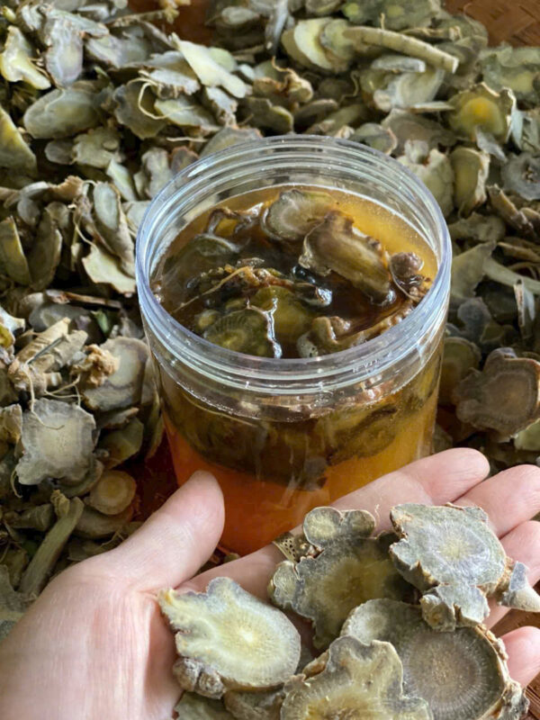 TAM THẤT TƯƠI NGÂM MẬT ONG