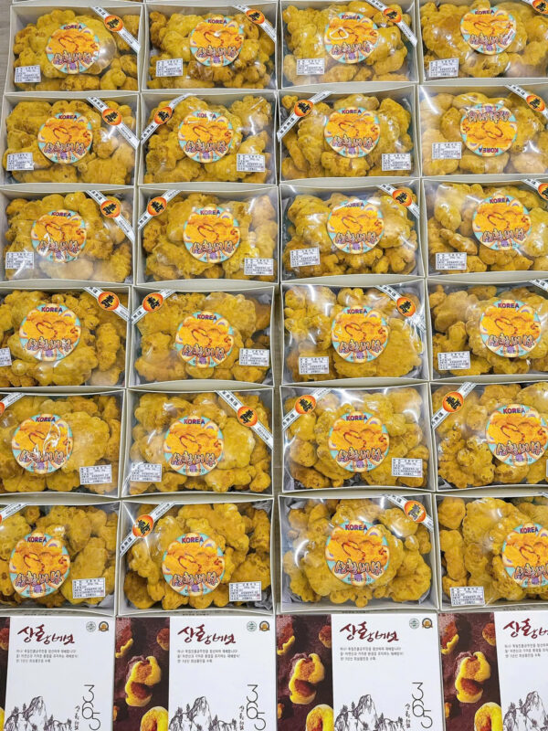 NẤM THƯỢNG HOÀNG - Hình ảnh 2
