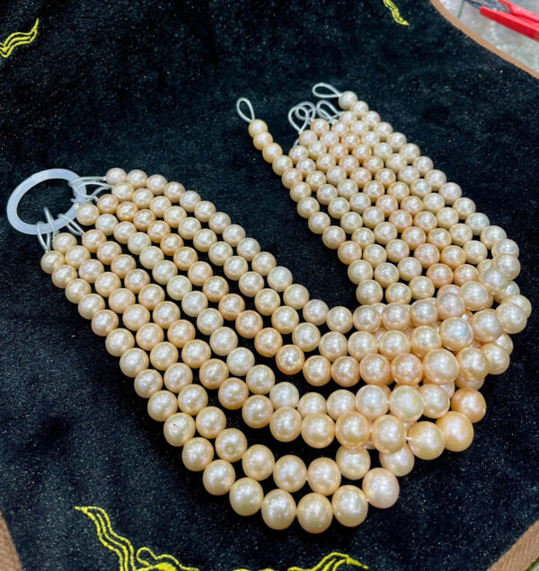 Chuỗi ngọc trai - Hình ảnh 2
