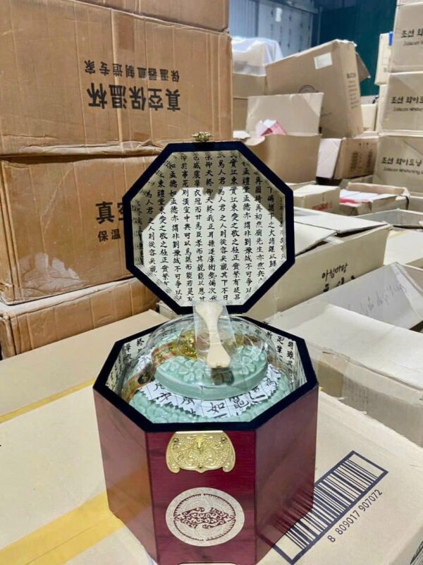 CAO HỒNG SÂM HOÀNG HẬU - Hình ảnh 3
