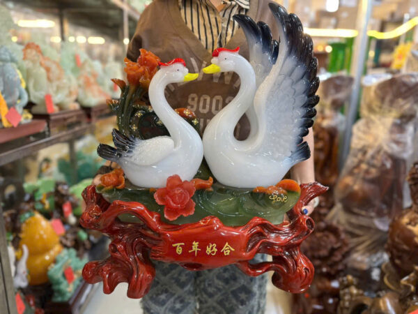 Cặp thiên nga - Hình ảnh 3