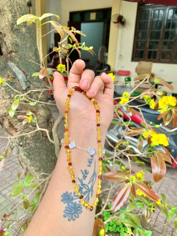 Bộ Hổ phách trẻ em - Hình ảnh 2