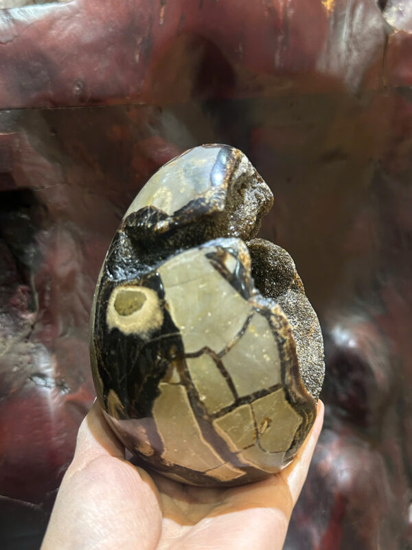 Trứng đá khủng long