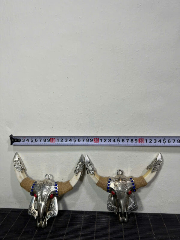 Cặp  Nanh  Heo - Hình ảnh 5