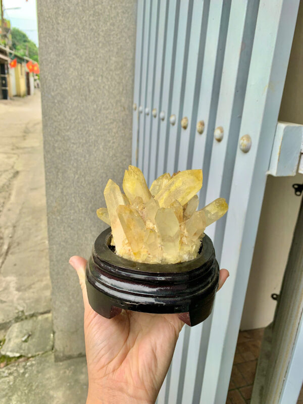 Bông tinh thể thạch anh vàng - Hình ảnh 2
