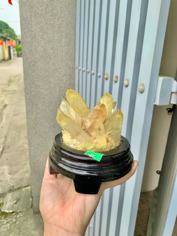 Bông tinh thể thạch anh vàng - Hình ảnh 4