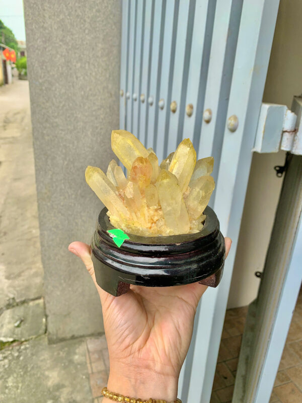 Bông tinh thể thạch anh vàng - Hình ảnh 5