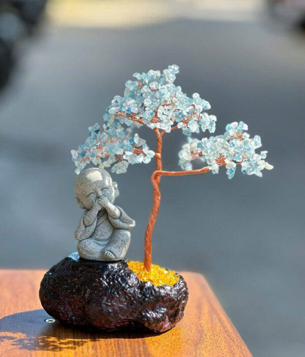 Cây tài lộc chú tiểu