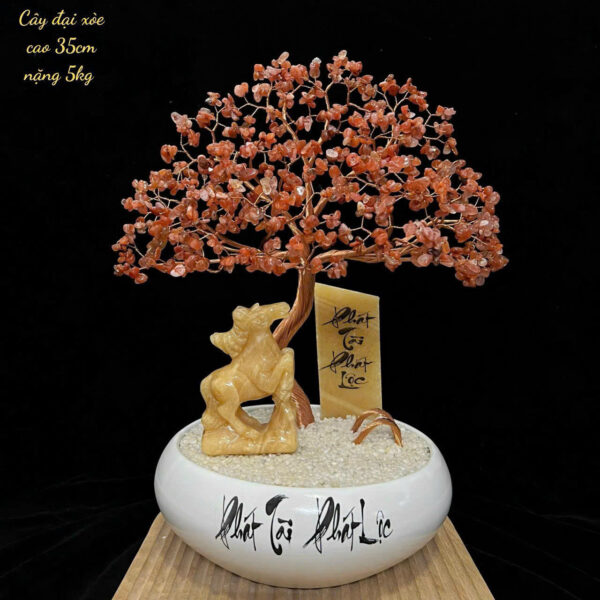 Cây Đá Thạch Anh - Hình ảnh 4