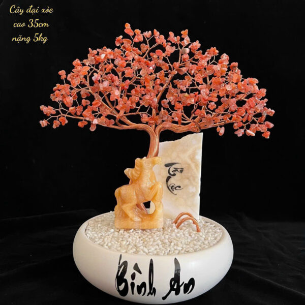 Cây Đá Thạch Anh - Hình ảnh 5