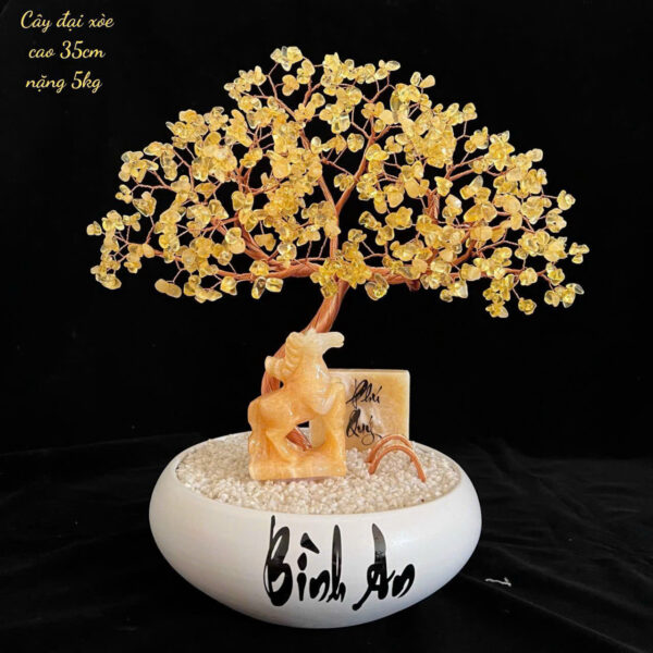 Cây Đá Thạch Anh - Hình ảnh 8
