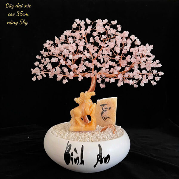 Cây Đá Thạch Anh - Hình ảnh 9