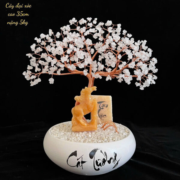 Cây Đá Thạch Anh - Hình ảnh 10