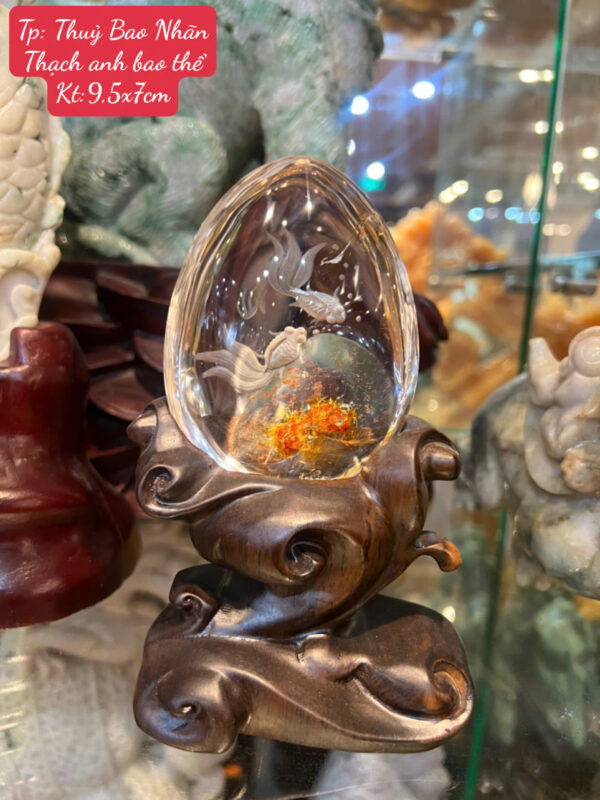 Thuỷ Bao Nhãn - Hình ảnh 5