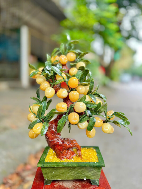 Cây đào Hoàng Long 38 quả