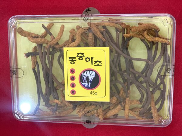 ĐÔNG TRÙNG HẠ THẢO NGUYÊN CON - Hình ảnh 4