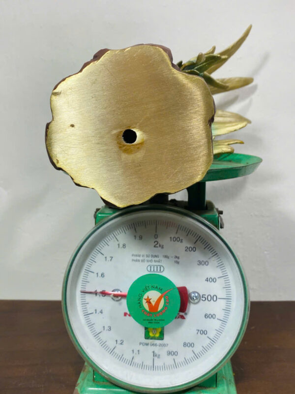 NHẤT KÊ ĐỒNG PHÁP LAM - Hình ảnh 8