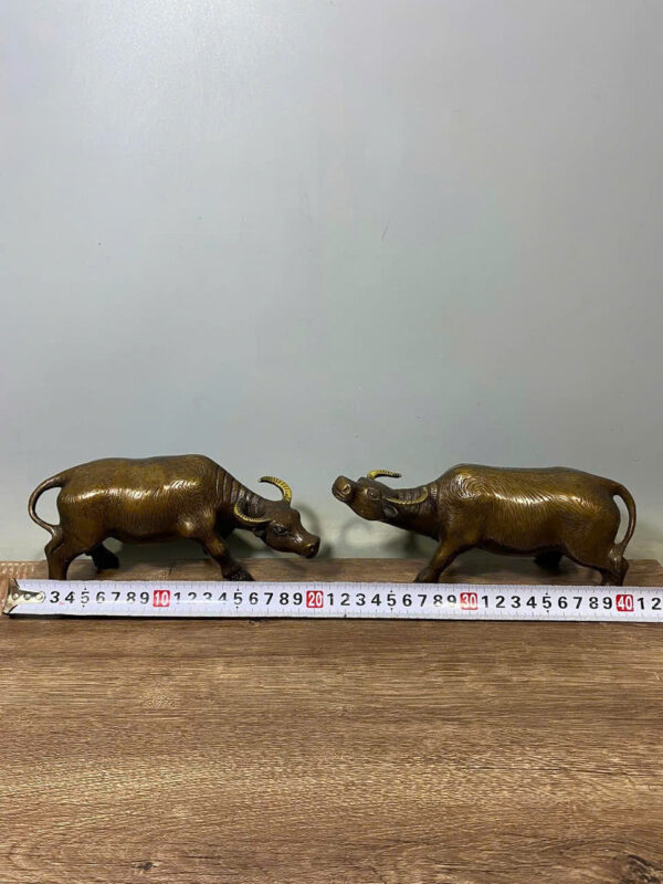 TR-ÂU ĐỒNG đẹp - Hình ảnh 5