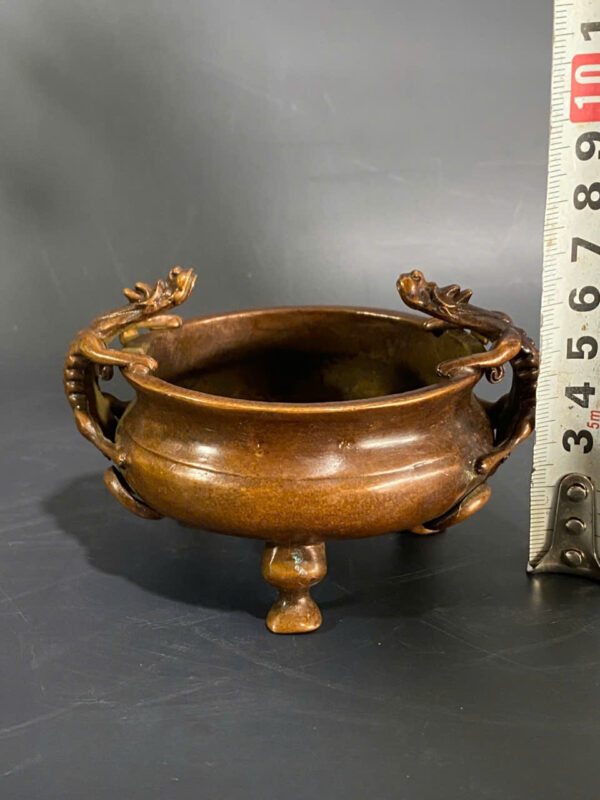 LƯ  ĐỒNG  RỒNG - Hình ảnh 4