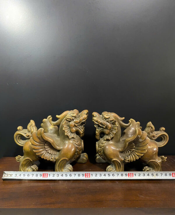 CẶP  TỲ  HƯU  CÓ  CÁNH - Hình ảnh 2