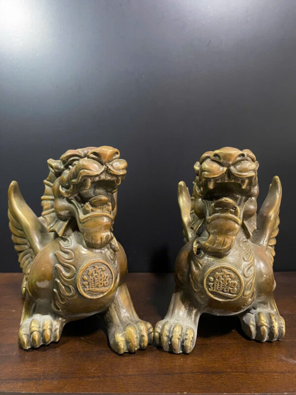 CẶP  TỲ  HƯU  CÓ  CÁNH - Hình ảnh 5