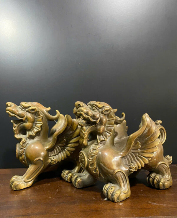 CẶP  TỲ  HƯU  CÓ  CÁNH - Hình ảnh 6