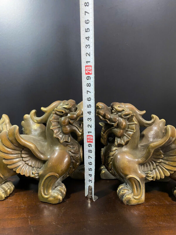 CẶP  TỲ  HƯU  CÓ  CÁNH - Hình ảnh 9