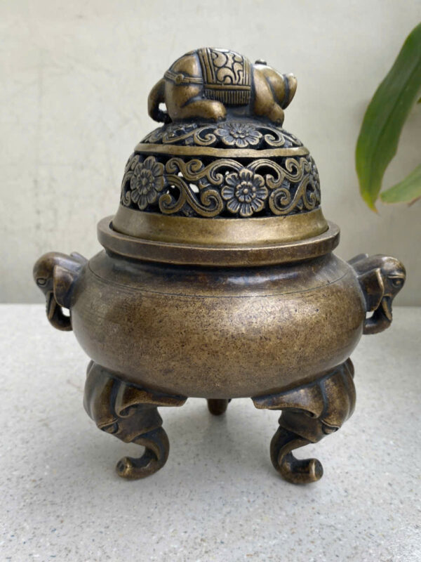 LƯ  ĐỒNG  VOI - Hình ảnh 6