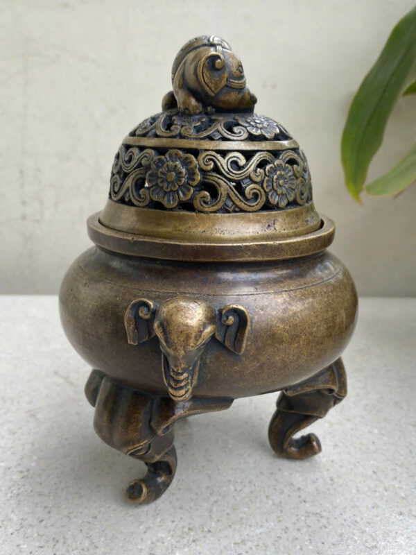 LƯ  ĐỒNG  VOI - Hình ảnh 7