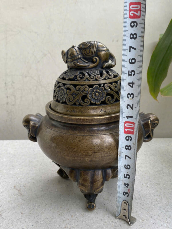 LƯ  ĐỒNG  VOI - Hình ảnh 8