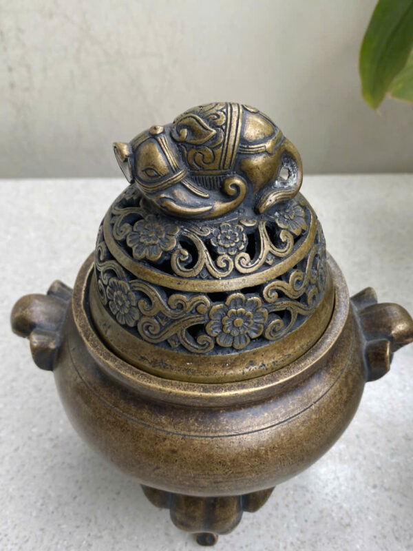 LƯ  ĐỒNG  VOI - Hình ảnh 9