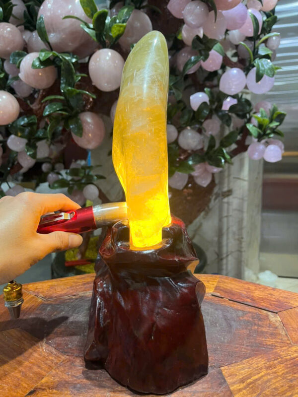 Núi cảnh TA vàng - Hình ảnh 5